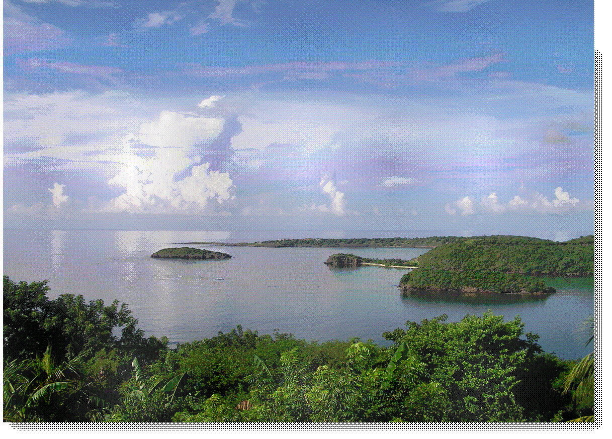 View 10-09-08 004.jpg